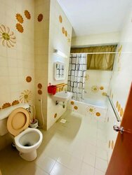 Bukit Timah Plaza / Sherwood Towers (D21), Apartment #457294131